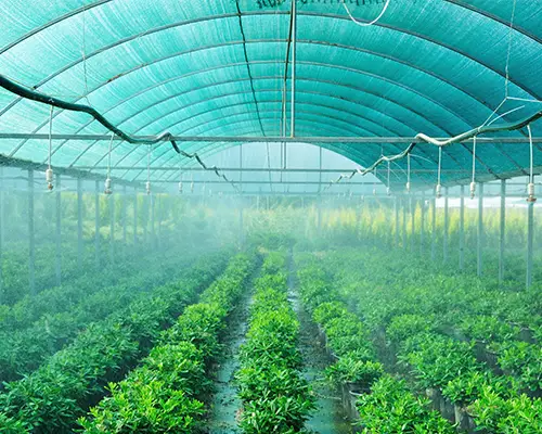 Shade net over an open area